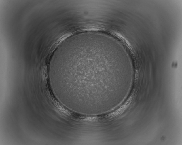 X0000100841353200806271102