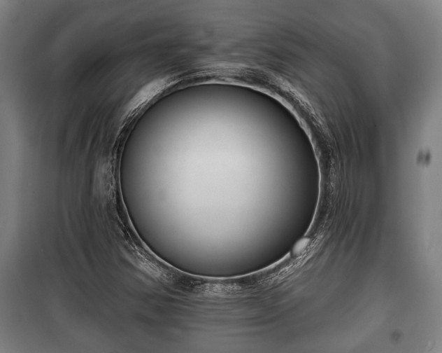 X0000100841354200806271102