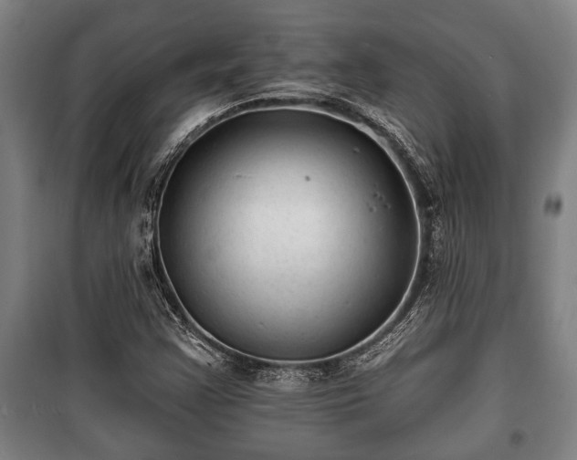 X0000100841355200806271102