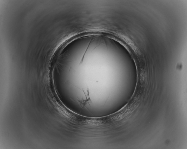 X0000100841356200806271102