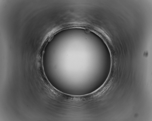 X0000100841357200806271102