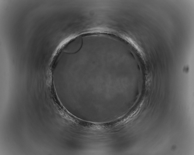 X0000100841358200806271102