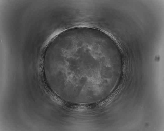 X0000100841359200806271102