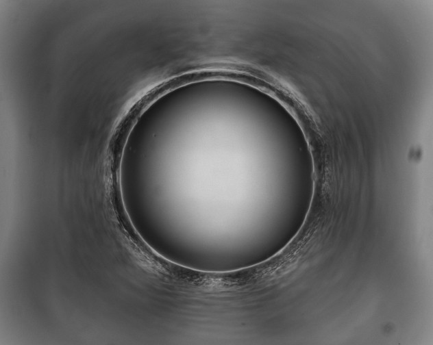 X0000100841360200806271102