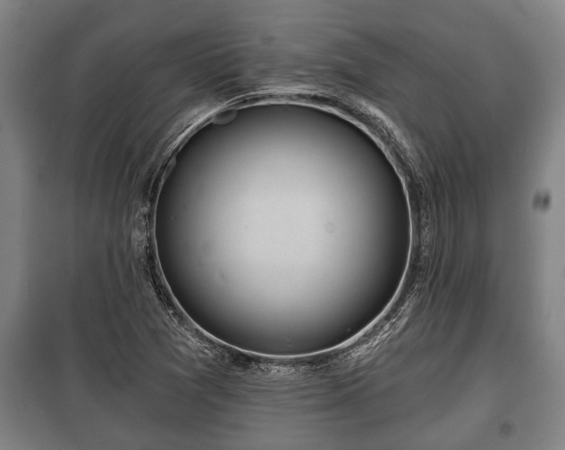 X0000100841361200806271102