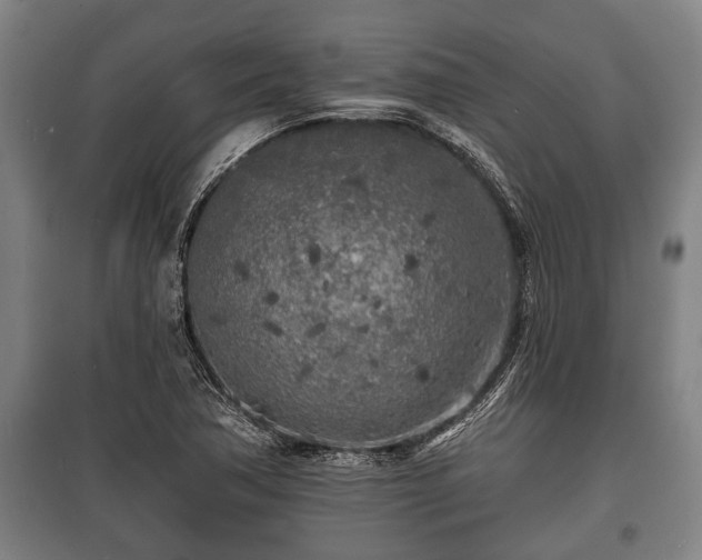 X0000100841362200806271102