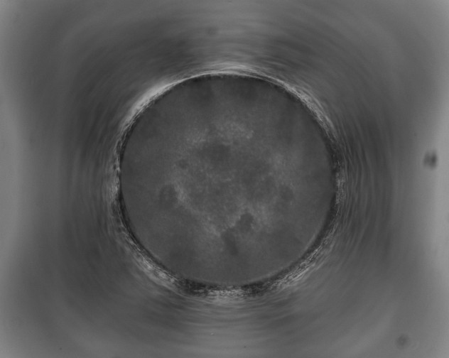 X0000100841363200806271102