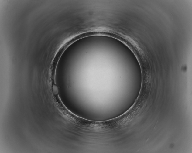 X0000100841364200806271102