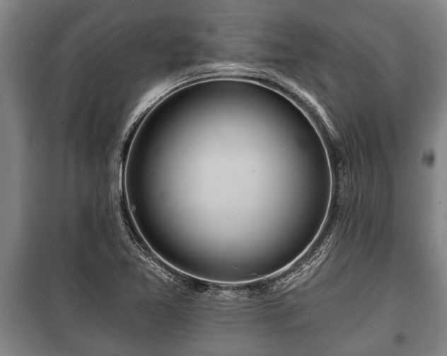 X0000100841365200806271102