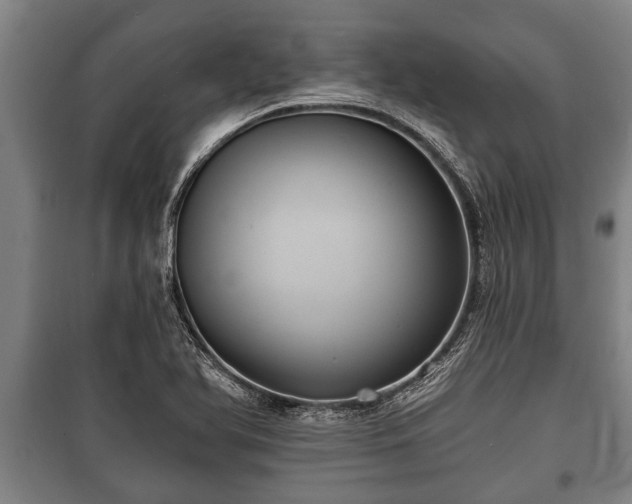 X0000100841366200806271102