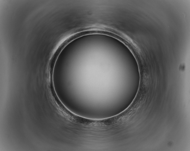 X0000100841368200806271102