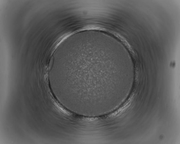 X0000100841369200806271102