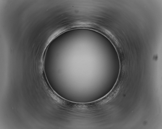 X0000100841370200806271102