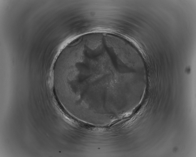 X0000100841371200806271102