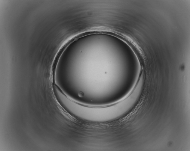 X0000100841372200806271102