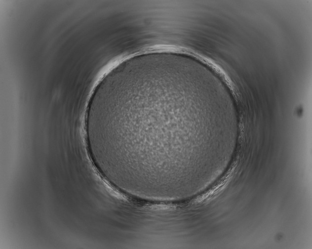 X0000100841373200806271102