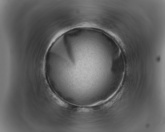 X0000100841374200806271102