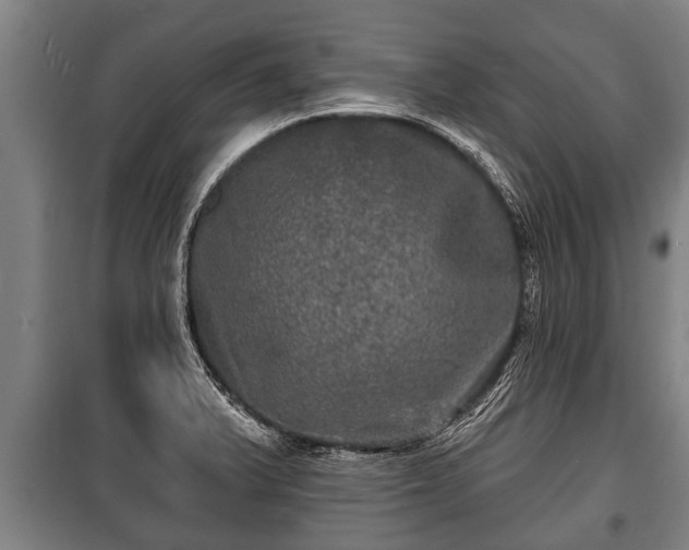 X0000100841375200806271102