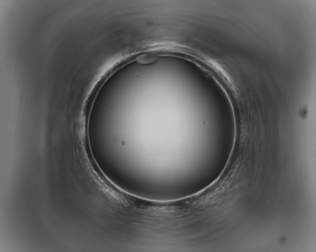 X0000100841376200806271102