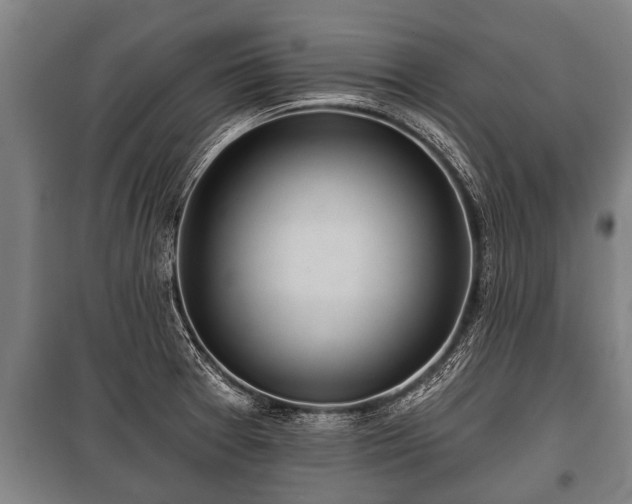 X0000100841377200806271102