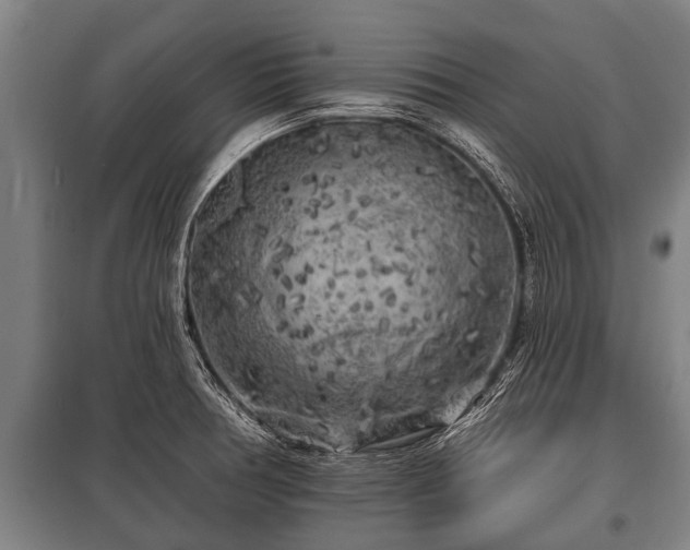 X0000100841378200806271102