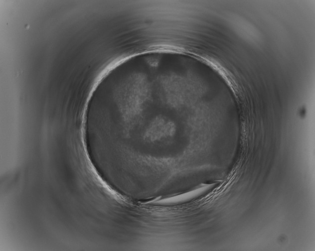 X0000100841379200806271102