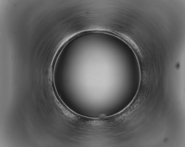 X0000100841380200806271102