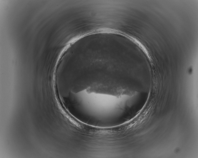 X0000100841381200806271102