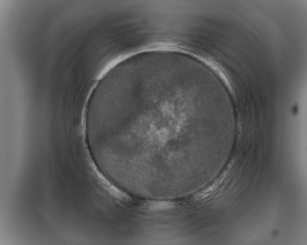 X0000100841382200806271102