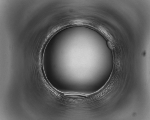 X0000100841384200806271102