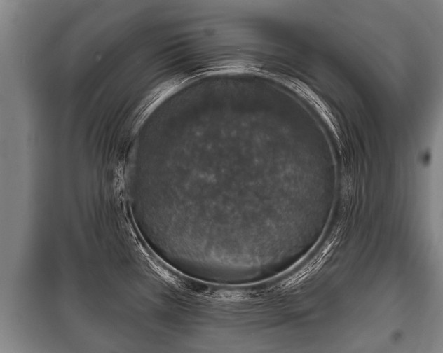 X0000100841385200806271102