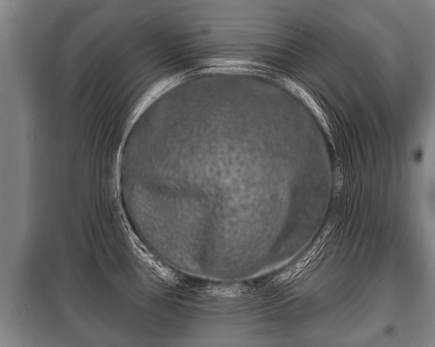 X0000100841386200806271102