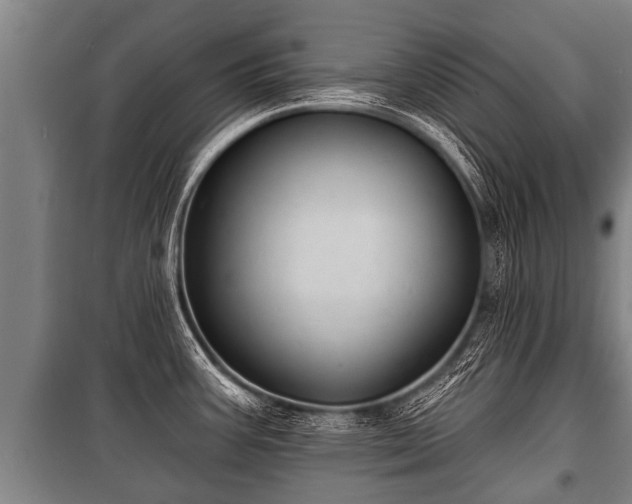 X0000100841387200806271102