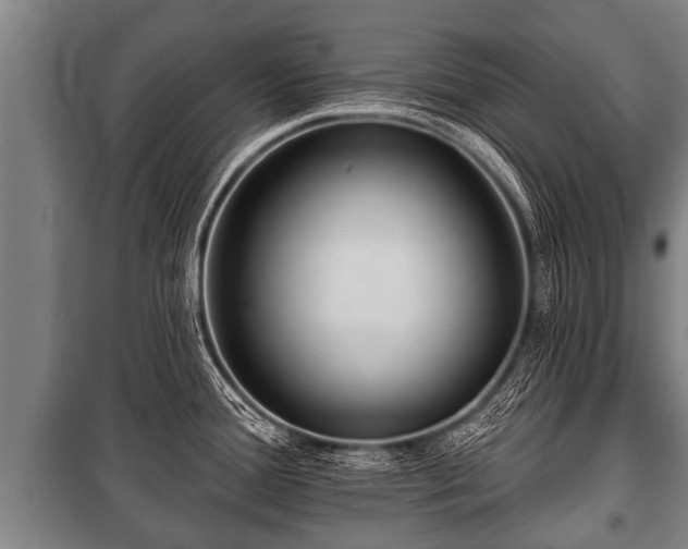 X0000100841388200806271102