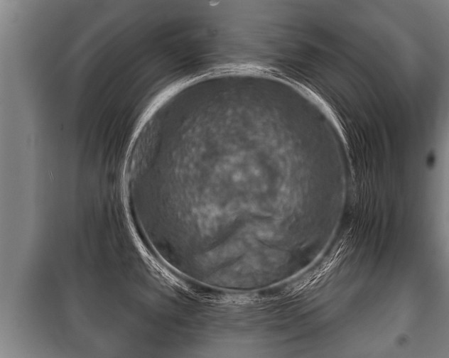 X0000100841389200806271102