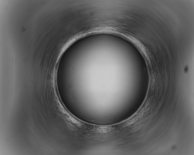 X0000100841390200806271102