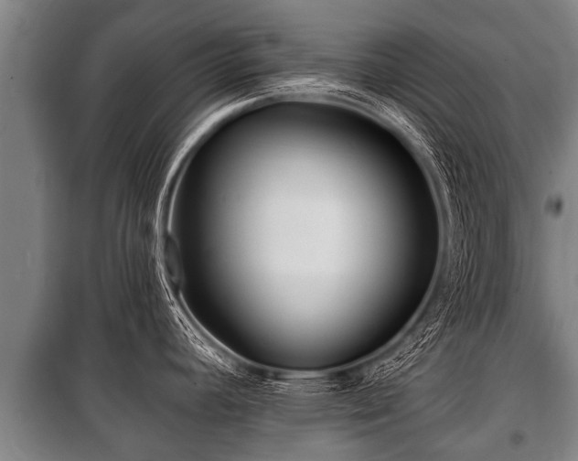 X0000100841392200806271102