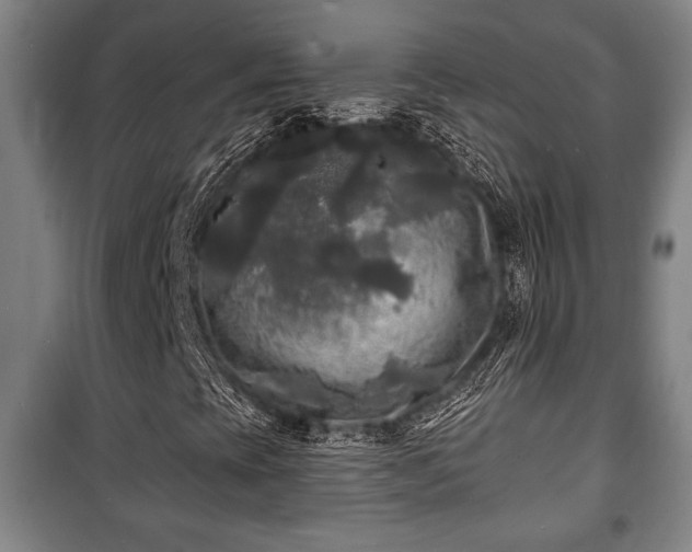 X0000100841393200806271101