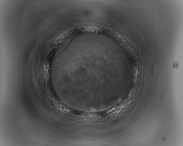 X0000100841394200806271101