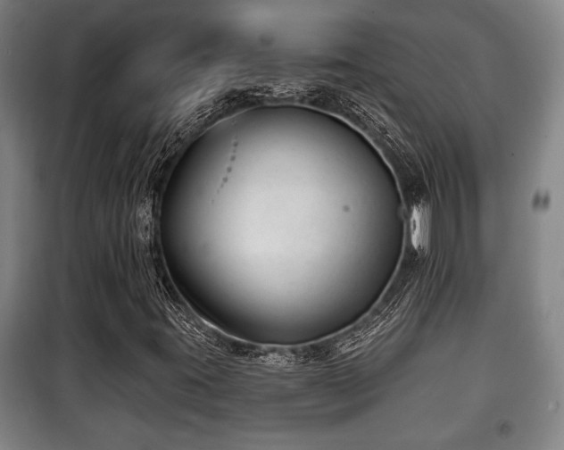 X0000100841395200806271101