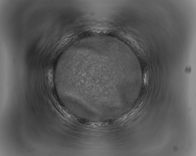 X0000100841396200806271101