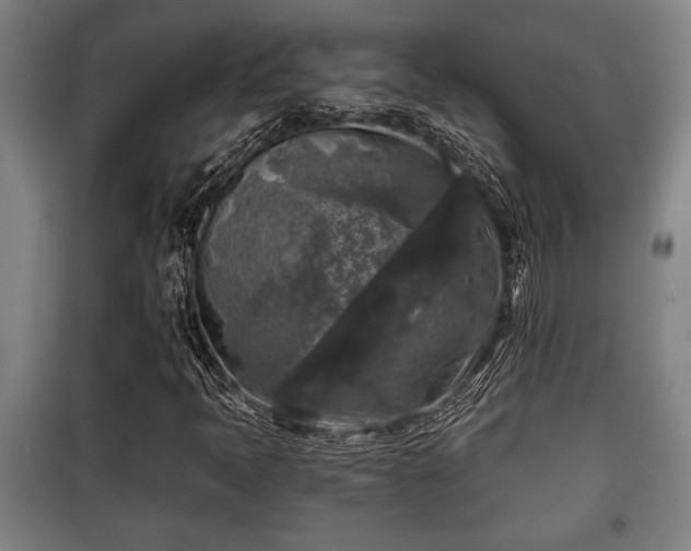 X0000100841397200806271101