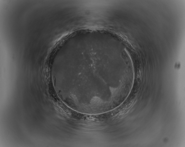 X0000100841398200806271101