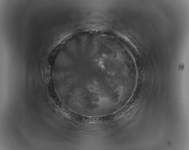 X0000100841399200806271101