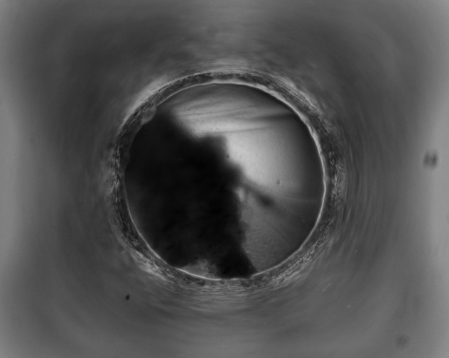 X0000100841400200806271101