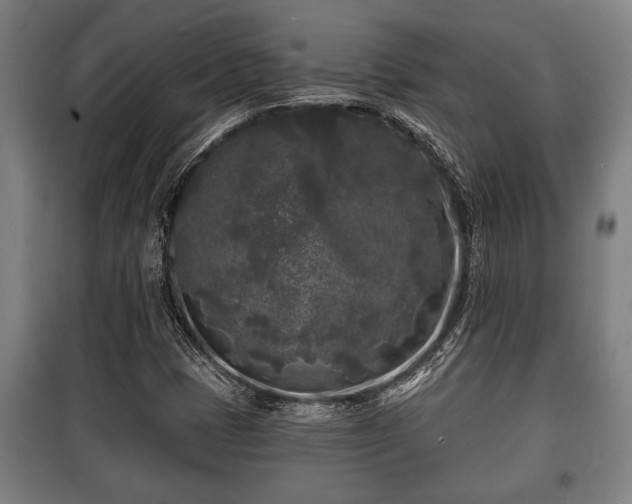 X0000100841401200806271101