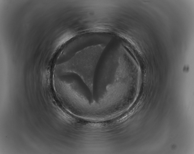 X0000100841402200806271101