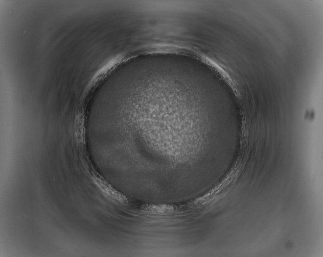 X0000100841403200806271101