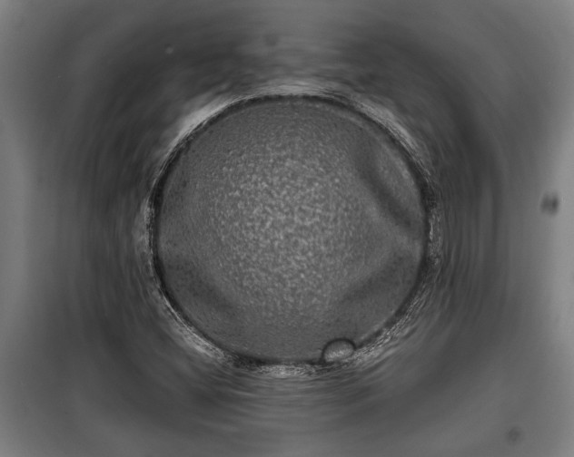 X0000100841404200806271101