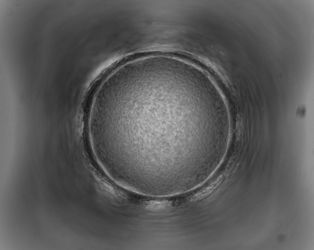 X0000100841406200806271101